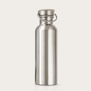 Stainless Steel Bottle
